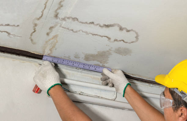 Reliable Burst Pipe Cleanup contractor in Waterloo, IL by Water Damage Irwin